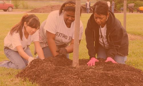 three people kneeling down planting a tree together.